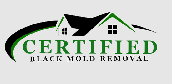 Mold Remediation Pennsylvania  
