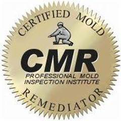 Pennsylvania Mold Removal 
