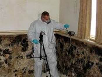 PA Mold Removal  