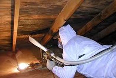 Pennsylvania Mold Removal, Mold Testing PA 