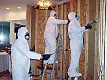 PA Mold Remediation 