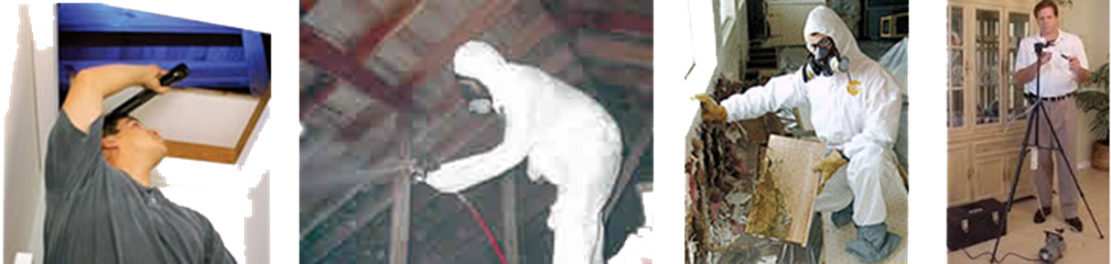 Pennsylvania Mold Testing