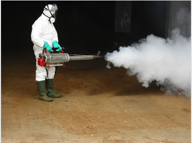 basement bathroom mold removal and remediation services being done in Glen Mills Pennsylvania 19342