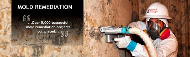 Pennsylvania Mold Remediation   