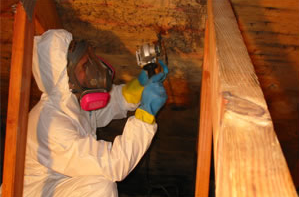 Glen Mills Pennsylvania 19342 bathroom kitchen closet mold inspection and removal company